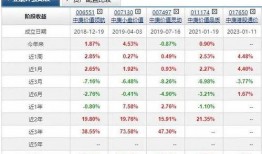 重点爆料视频大全最新下载